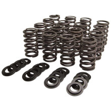 KIBBLEWHITE 60-60950 Valve Springs&Washers