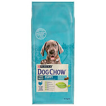 Products for dogs