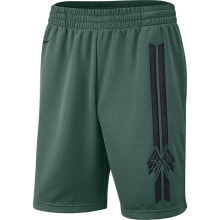 Мужские спортивные шорты Nike SB Dry Short Gfx