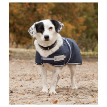 Clothing and shoes for dogs