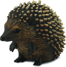 Животные, птицы, рыбы и рептилии collecta Hedgehog figurine (004-88458)