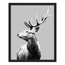 Bild Red Deer