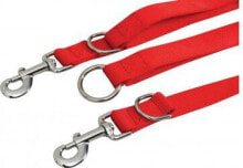 Dog Leashes