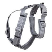 KENTUCKY Active Reflective Harness