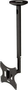 Neomounts Uchwyt sufitowy FPMA-C060BLACK 10'' - 40''