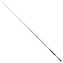 SEA MONSTERS Labrax Spinning Rod