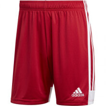 Мужские спортивные шорты Мужские шорты спортивные красные футбольные Adidas Tastigo 19 M DP3681