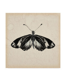 Trademark Global melissa Wang Butterfly Study VI Canvas Art - 27