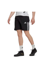 Men's Sports Shorts