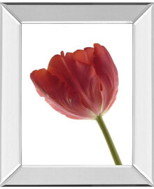 Classy Art red Tulip by Art Photo Pro Mirror Framed Print Wall Art, 22
