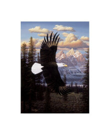 Trademark Global r W Hedge Land of the Free Eagle Canvas Art - 36.5