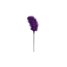 Плетка или стек для БДСМ EasyToys Purple Feather Tickler