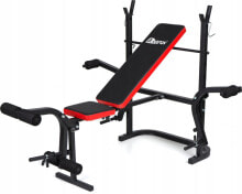 Sports benches and racks