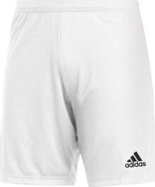 Men's Sports Shorts