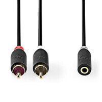 Nedis CABW22255AT10 - 2 x RCA - Male - RCA - Female - 1 m - Anthracite