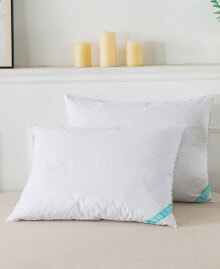 Waverly st. James Home Feather 2-Piece Pillow Set, Queen