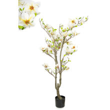 Decorative Flowers Romimex White Magnolia 70 x 150 x 60 cm