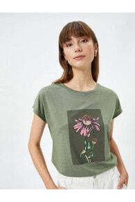 Women's T-shirts and Tops