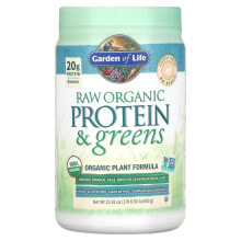 RAW Organic Protein & Greens, Plant Formula, Lightly Sweet, 22.92 oz (650 g)