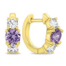 Jewelry Earrings