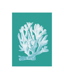 Trademark Global fab Funky Coral 1 White on Turquoise Canvas Art - 27