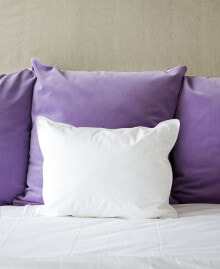  The Pillow Bar