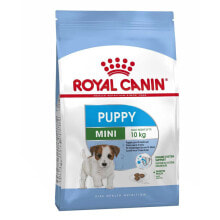  Royal Canin