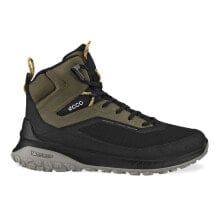 Men's Low Boots