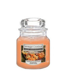 Scented candle Home Inspiration small Pumpkin Harvest 104 g