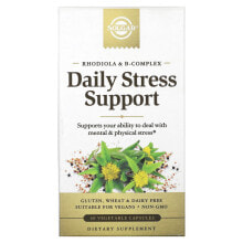 Solgar, Rhodiola & B-Complex, Daily Stress Support, 60 Vegetable Capsules