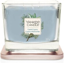 Duftkerze im Glas Coastal Cypress - Yankee Candle Coastal Cypress Elevation Square Candles