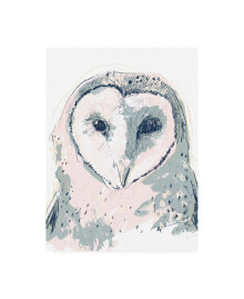 Trademark Global june Erica Vess Funky Owl Portrait I Canvas Art - 27