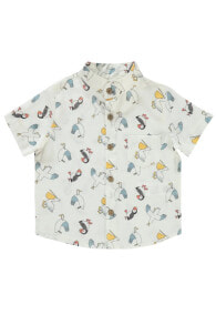 Children's shirts for boys