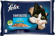 Купить влажные корма для кошек Nestle: Nestle FELIX sasz.4x85g FANTASTIC RYBNE SMAKI Z WARZYWAMI w galaretce łosoś z cukinią, pstrąg z zieloną fasolą /12