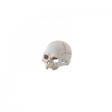 EXO TERRA Small primtate skull secure hiding place