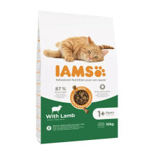 Cat food IAMS Advanced Nutrition Cat Adult Lamb 10 kg