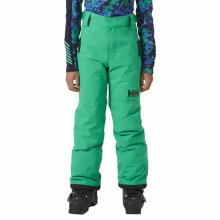 Купить одежда и обувь Helly Hansen: HELLY HANSEN Legendary pants