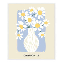 Bild Chamomile