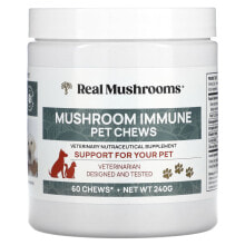 Витамины и добавки для собак Real Mushrooms купить от $56