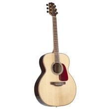 Acoustic guitars