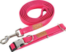 Dog Leashes