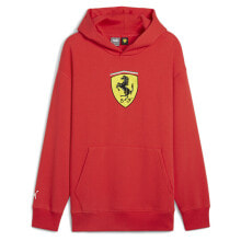 Men's Hoodies