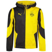PUMA Borussia Dortmund 23/24 Prematch Jacket