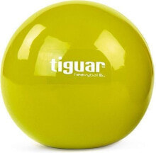 Tiguar Heavy Ball 1kg exercise ball Tiguar Violet univ (TI-PHB010)