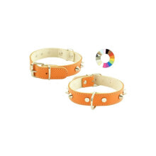 Купить амуниция для собак YOUPET: YOUPET Mountain Co1F 55x3 cm Dog Collar