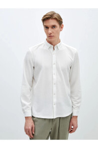 Men's Shirts