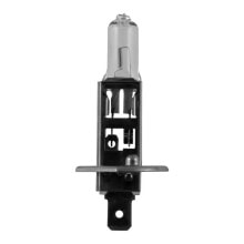 JBM OBN H1 bulb 10 units