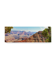Trademark Global sylvia Coomes Grand Canyon Panorama IV Canvas Art - 37