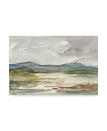 Trademark Global ethan Harper Overcast Wetland I Canvas Art - 15