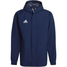 Men's Sports Jackets